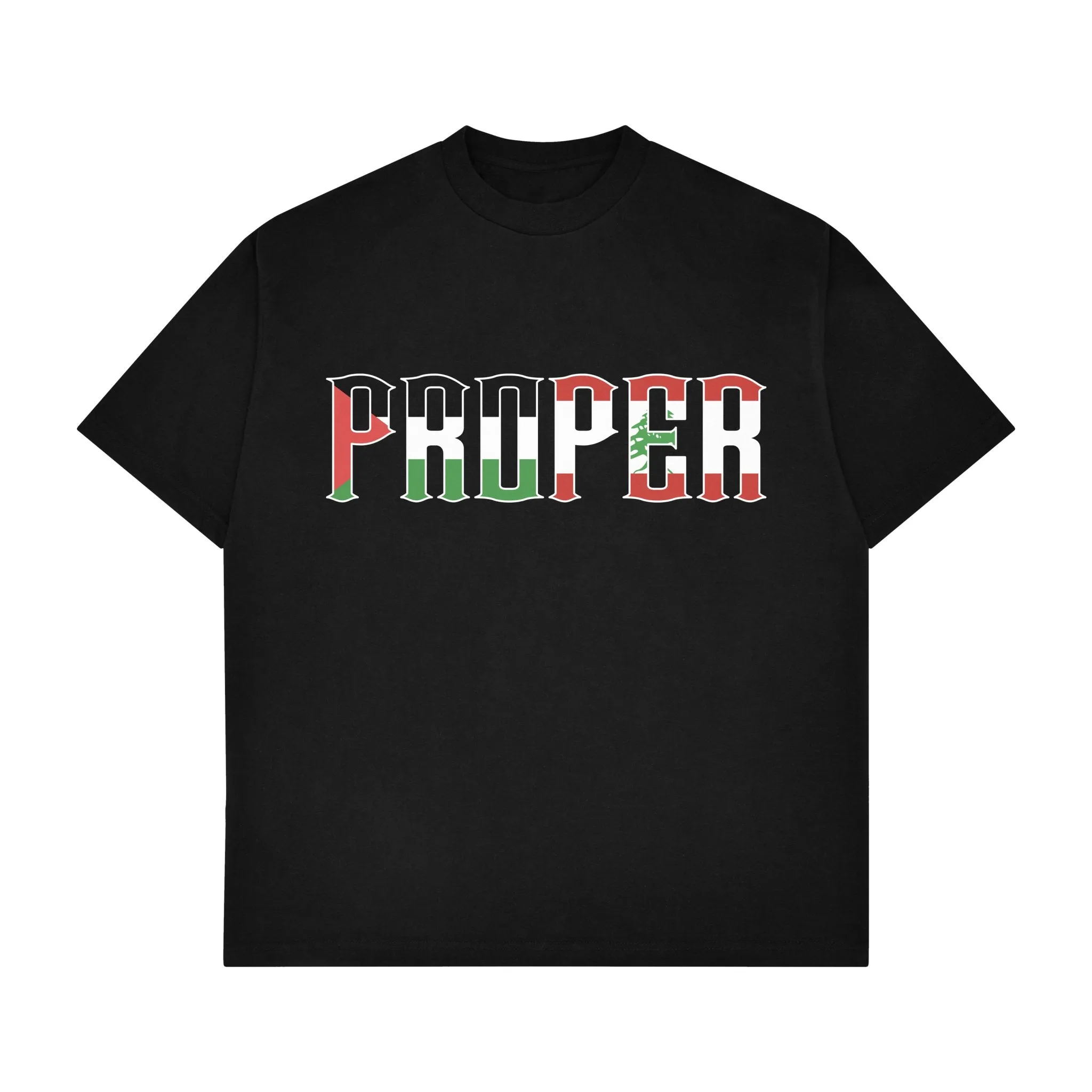 PALESTINE X LEBANON FITTED TEE